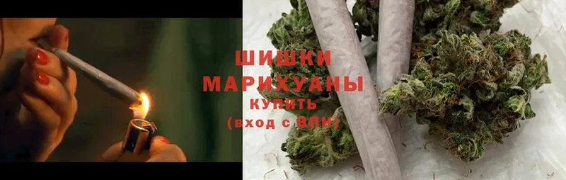 Марихуана White Widow  Вяземский 